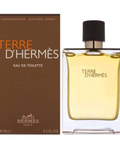 عطر ادکلن هرمس تق هرمس | Hermes Terre d'Hermes 100 ml