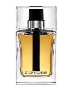 عطر ادکلن دیور هوم (نقره‌ای) | Dior Homme EDT