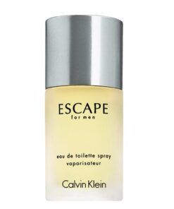 عطر ادکلن سی کی اسکیپ مردانه | CK Escape for men