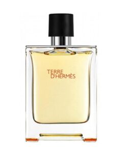 عطر ادکلن هرمس تق پرفیوم | Hermes Terre d'Hermes Parfum 200 ml