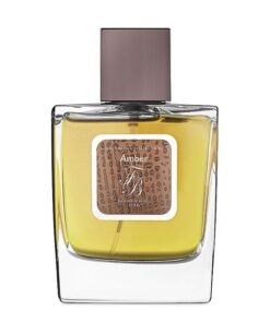 عطر ادکلن فرانک بوکلت امبر | Franck Boclet Amber